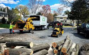 Frankfort, IL  Tree Services Company